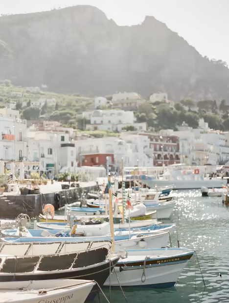 boats all docked in a line with a beautiful mountain background