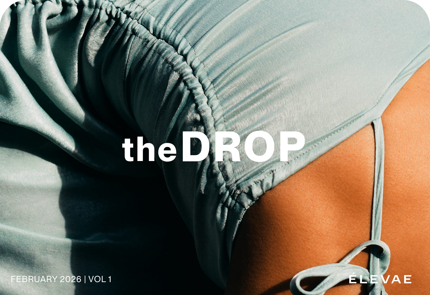 theDROP Newsletter Header Image - February 2026 Vol 1